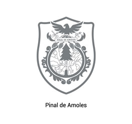 PINAL DE AMOLES